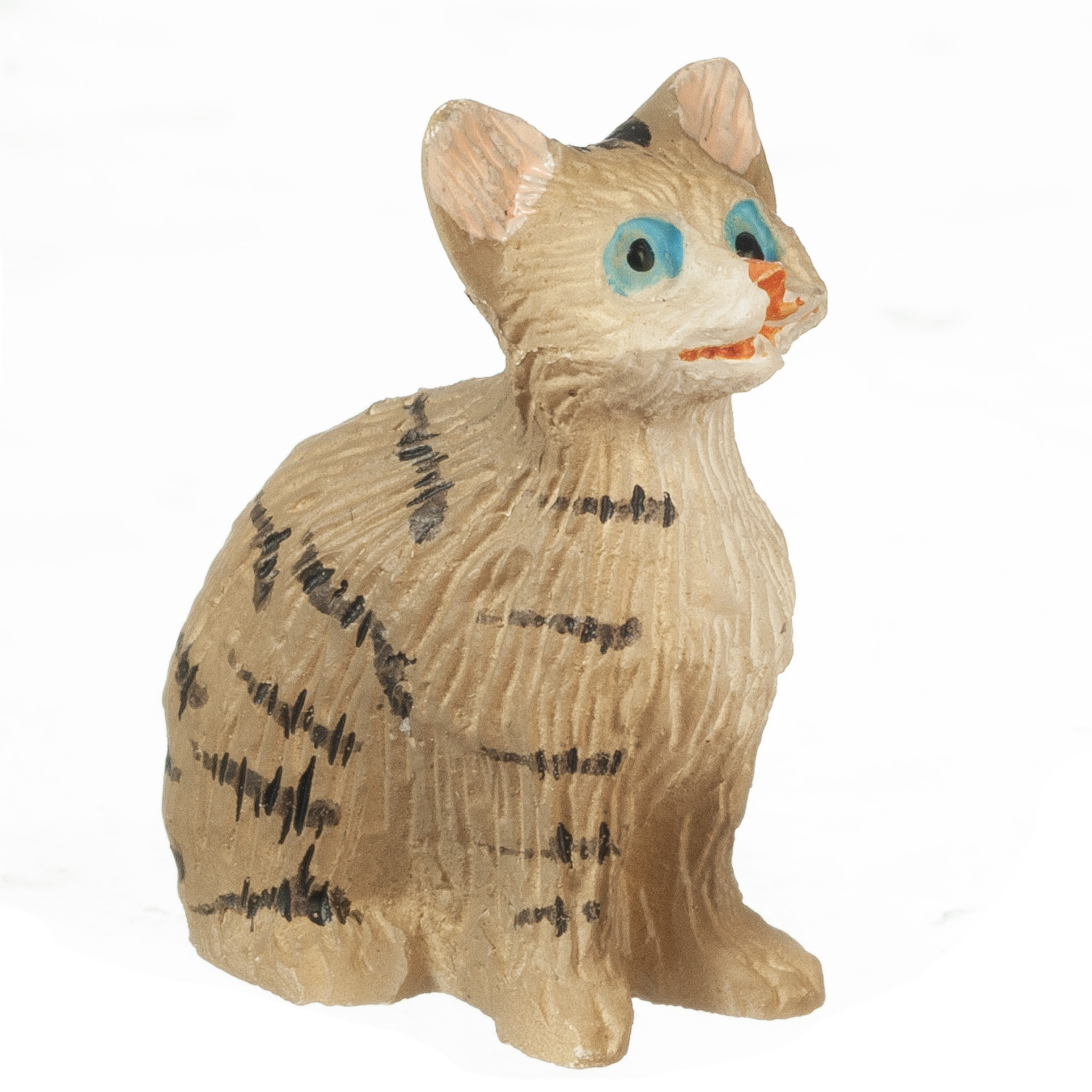 SittingCatEyesOpen/TABBY