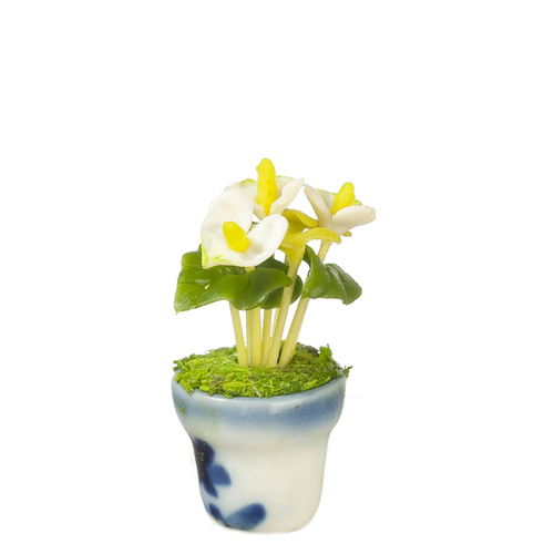 ANTHURIUM IN POT/WHITE