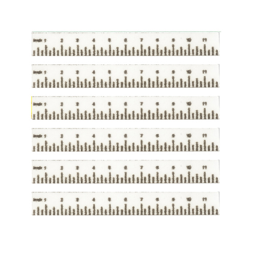 RULER/WHITE/SET/6