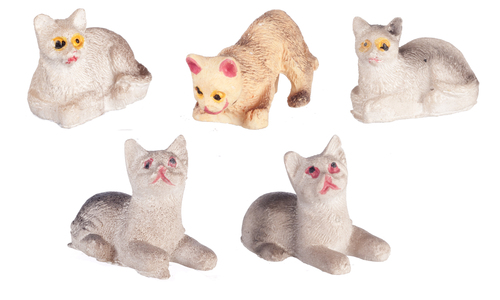CATS/ASSORTED