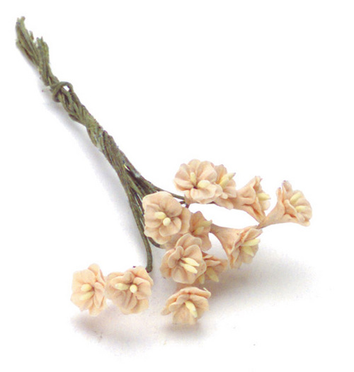 CAMELLIAS/12pcs/PEACH