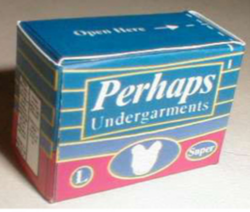 PERHAPS UNDERGARMENTSBOX